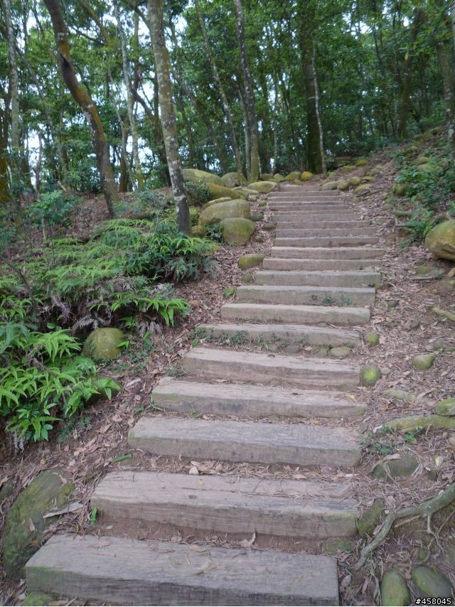 2009苗栗油桐花搶先報