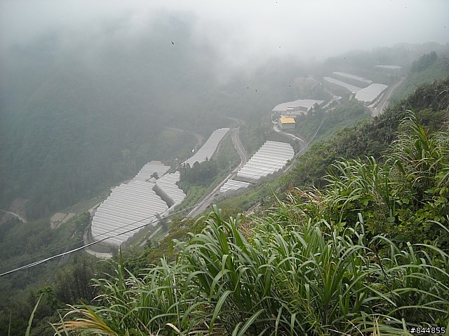 雲林草嶺~嘉義豐山 林道路線