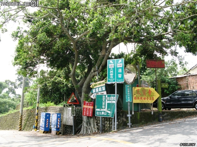 桐花祭-銀保善存雙人組銅鑼賞花鐵馬行