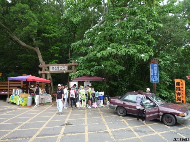 2009苗栗油桐花搶先報
