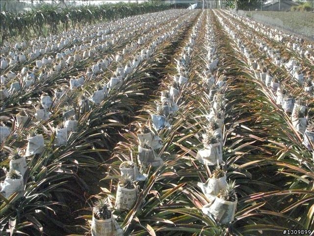open將快跑:彰化南投139號縣道