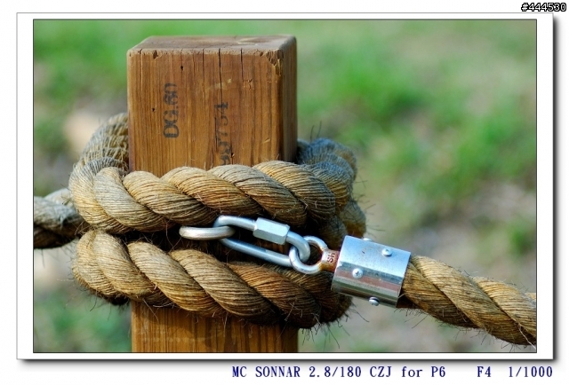 老鏡春天-- P6 SONNAR CARL ZEISS JENA 2.8/180