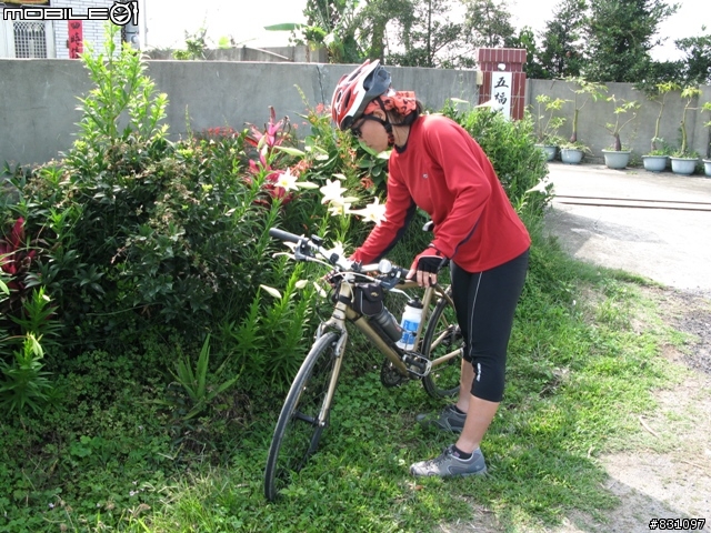 桐花祭-銀保善存雙人組銅鑼賞花鐵馬行