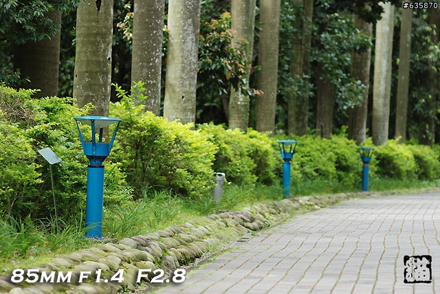 沒啥實質意義的Nikon AF 85mm f1.4以及f1.8 散景PK(85張圖)