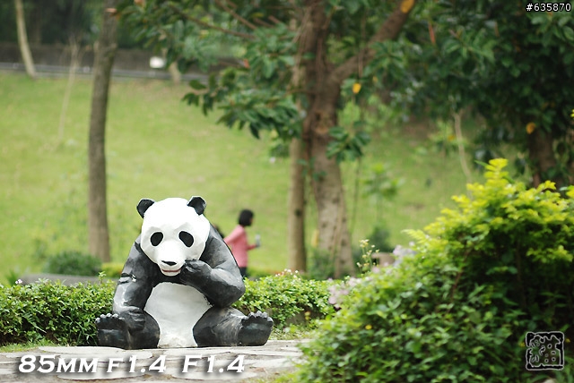 沒啥實質意義的Nikon AF 85mm f1.4以及f1.8 散景PK(85張圖)