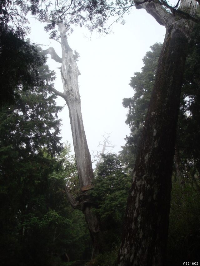 土場、太平山、翠峰湖鐵人三項遊記