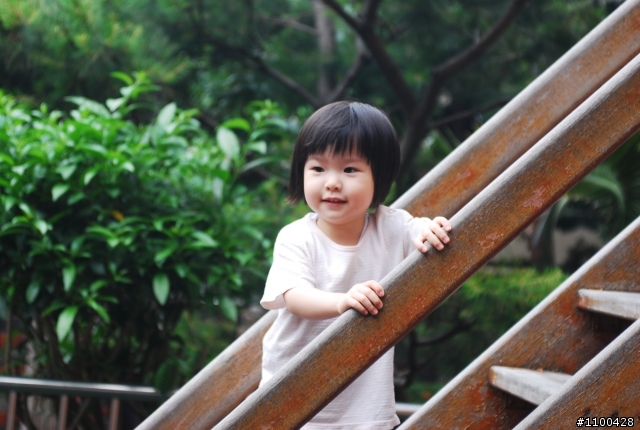 The beginner of D80 and first PO photos in 01