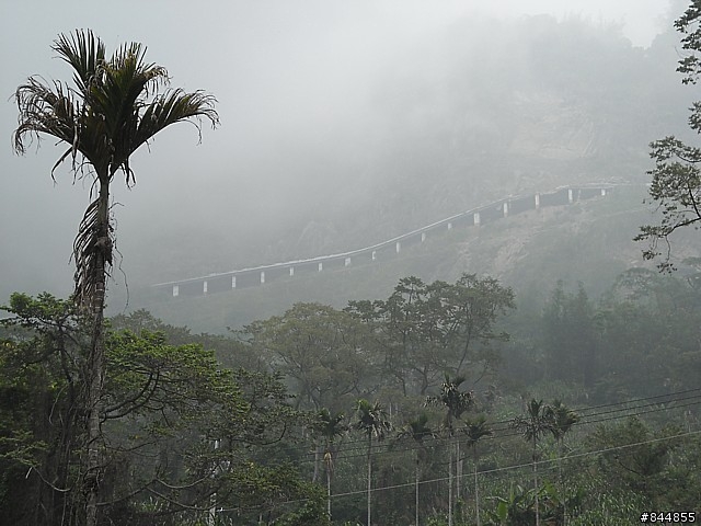 雲林草嶺~嘉義豐山 林道路線