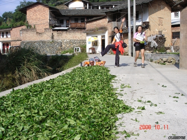 福建客家土樓