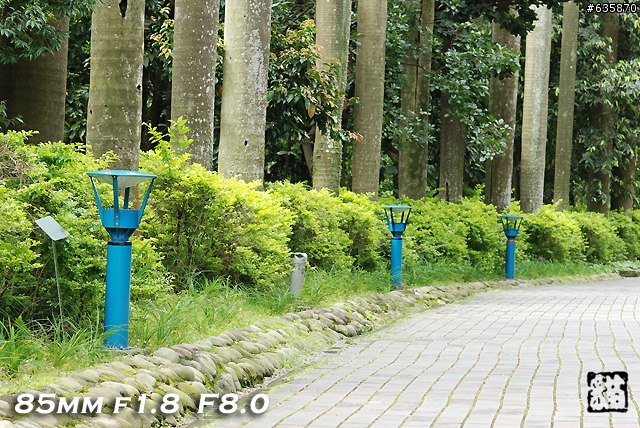 沒啥實質意義的Nikon AF 85mm f1.4以及f1.8 散景PK(85張圖)