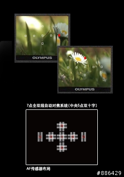同價位當紅E620與P牌G1的對比測試(兼看4/3與M4/3的差異)