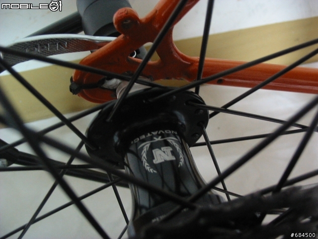 公路車初體驗-老鋼管小橘(橘子紅了)~