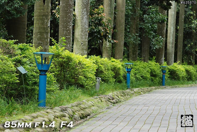 沒啥實質意義的Nikon AF 85mm f1.4以及f1.8 散景PK(85張圖)