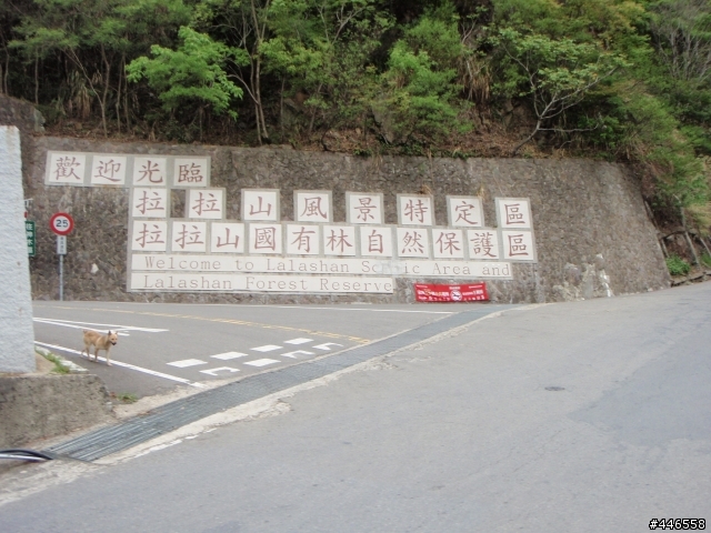 4明池殘念