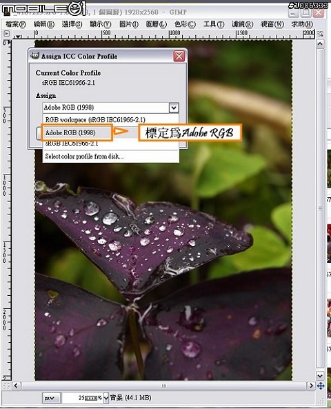 Adobe RGB 色域之O家色彩表現第一篇 如何轉換色域