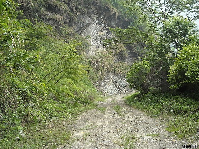 雲林草嶺~嘉義豐山 林道路線