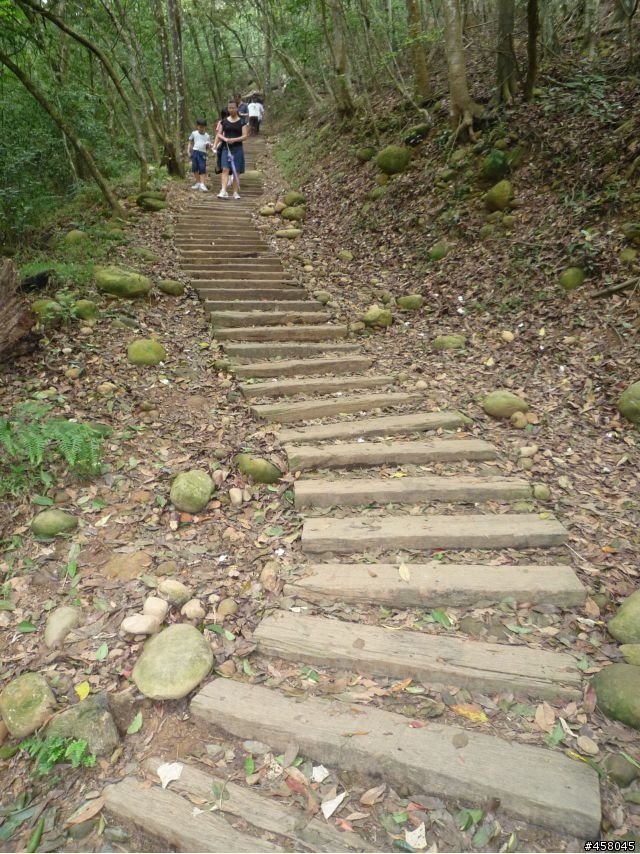 2009苗栗油桐花搶先報