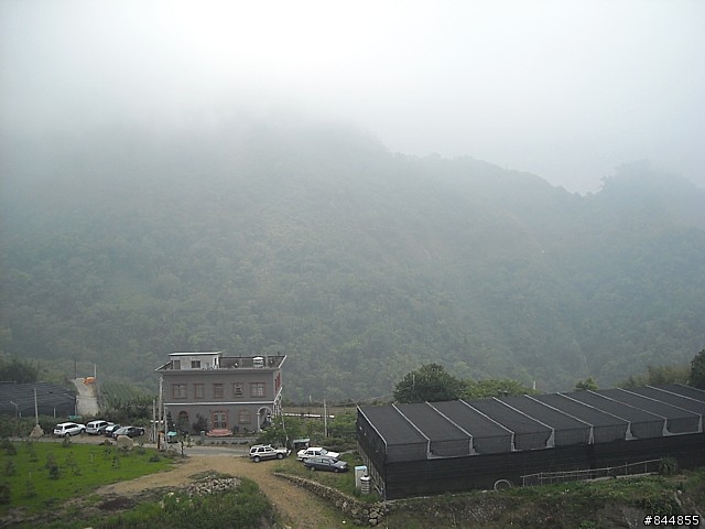 雲林草嶺~嘉義豐山 林道路線