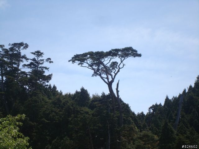 土場、太平山、翠峰湖鐵人三項遊記