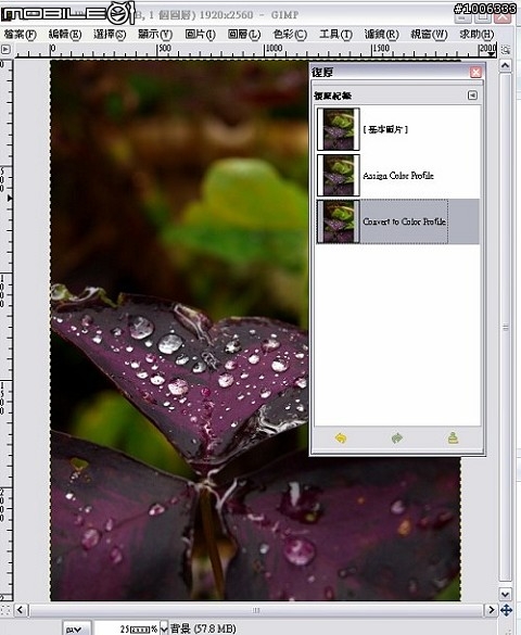 Adobe RGB 色域之O家色彩表現第一篇 如何轉換色域