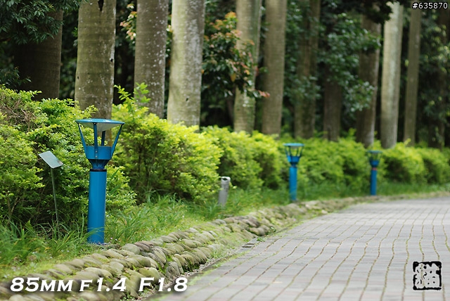 沒啥實質意義的Nikon AF 85mm f1.4以及f1.8 散景PK(85張圖)
