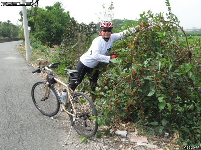 二水鐵道追風(女王篇)-鳳山寺、八堡一圳自行車道、二水鐵道追風線