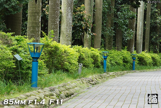 沒啥實質意義的Nikon AF 85mm f1.4以及f1.8 散景PK(85張圖)