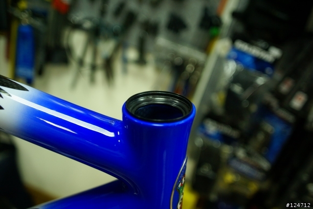 【分享開箱】純正 義大利GIOS 頂級碳纖維車-Carbon-lite
