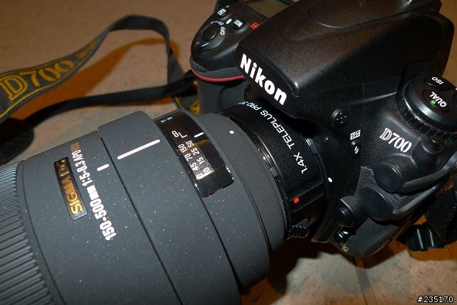 D700 + Sigma 150-500 OS 再加 Kenko 1.4X 實拍