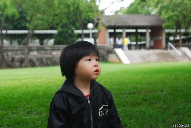 The beginner of D80 and first PO photos in 01