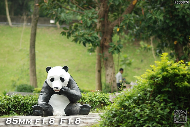 沒啥實質意義的Nikon AF 85mm f1.4以及f1.8 散景PK(85張圖)
