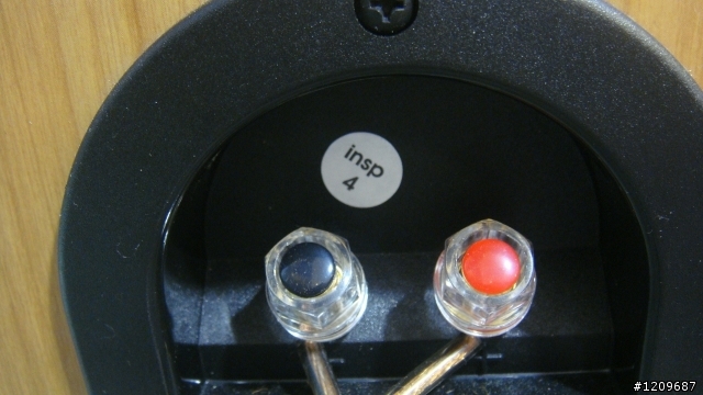 潛力驚人的小辣椒!辣!辣!辣!Paradigm Atom Monitor