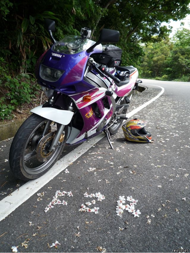 2009苗栗油桐花搶先報