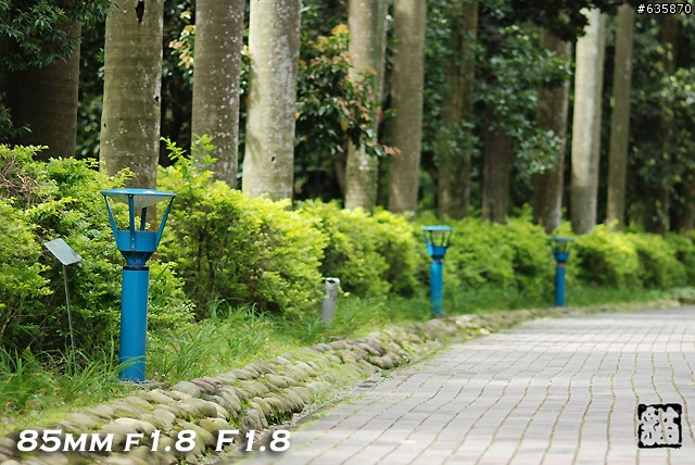 沒啥實質意義的Nikon AF 85mm f1.4以及f1.8 散景PK(85張圖)