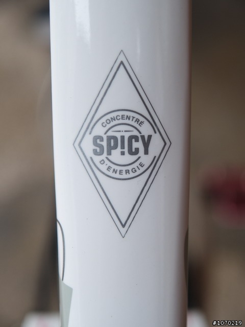 女王的新車~Lapierre spicy完工了~