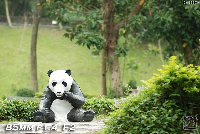 沒啥實質意義的Nikon AF 85mm f1.4以及f1.8 散景PK(85張圖)