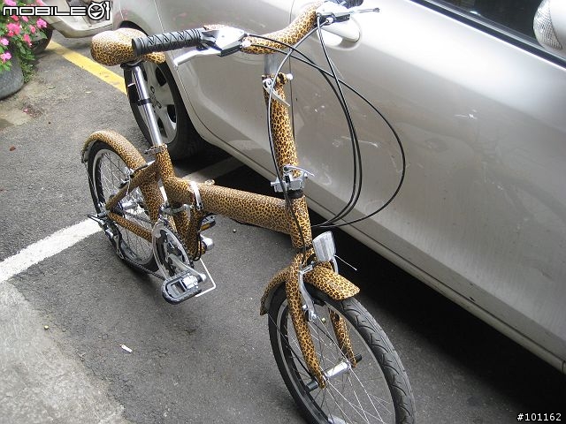 前無古人「包皮」腳踏車-4/30更新