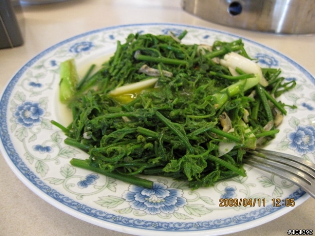 20090411台中慢慢騎TCSM彰化銀行山之行