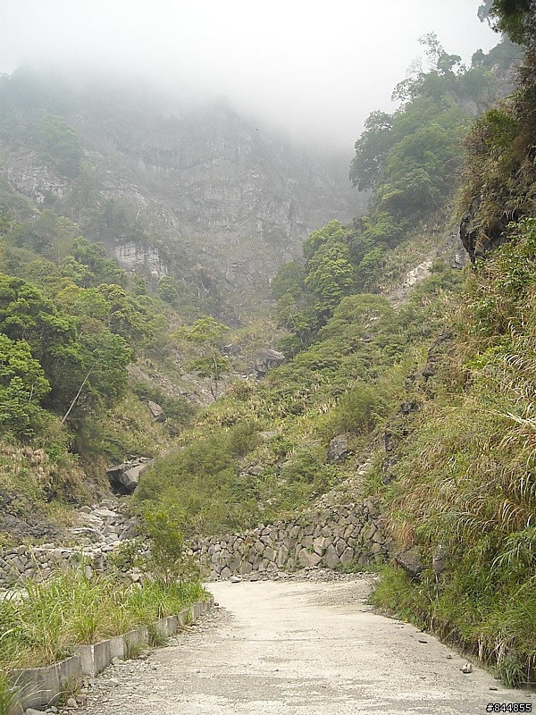 雲林草嶺~嘉義豐山 林道路線