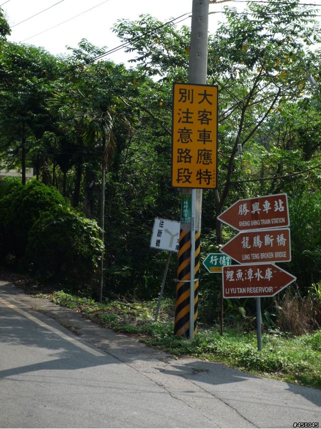 2009苗栗油桐花搶先報
