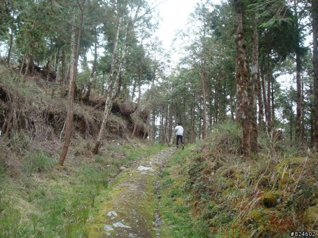 土場、太平山、翠峰湖鐵人三項遊記