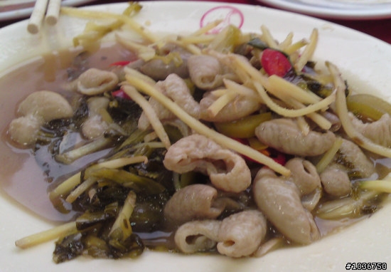 非(肥)勇者逞英雄…環花東380k林北吃喝玩樂團出發!