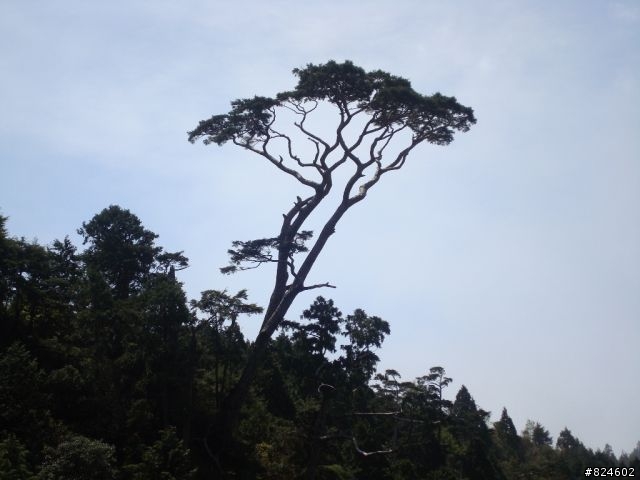 土場、太平山、翠峰湖鐵人三項遊記