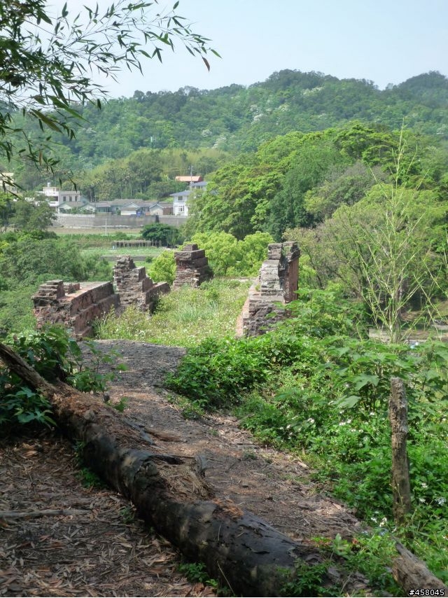 2009苗栗油桐花搶先報