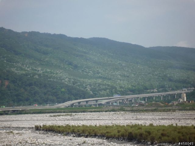 2009苗栗油桐花搶先報