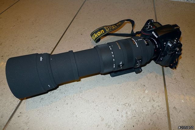 D700 + Sigma 150-500 OS 再加 Kenko 1.4X 實拍
