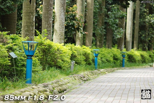沒啥實質意義的Nikon AF 85mm f1.4以及f1.8 散景PK(85張圖)