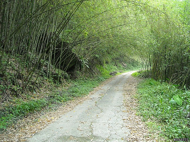 雲林草嶺~嘉義豐山 林道路線