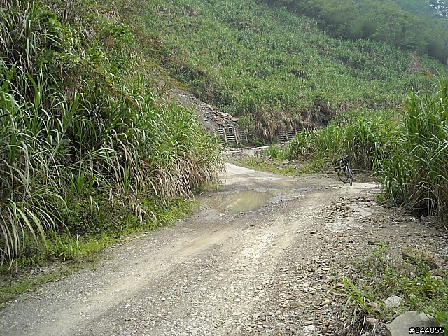雲林草嶺~嘉義豐山 林道路線