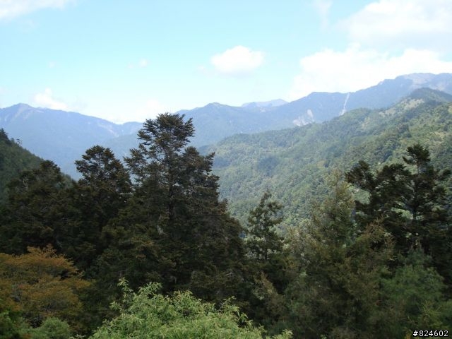 高山一豎之旅(上) 決戰武嶺之巔 - 鐵馬家庭南北大會師